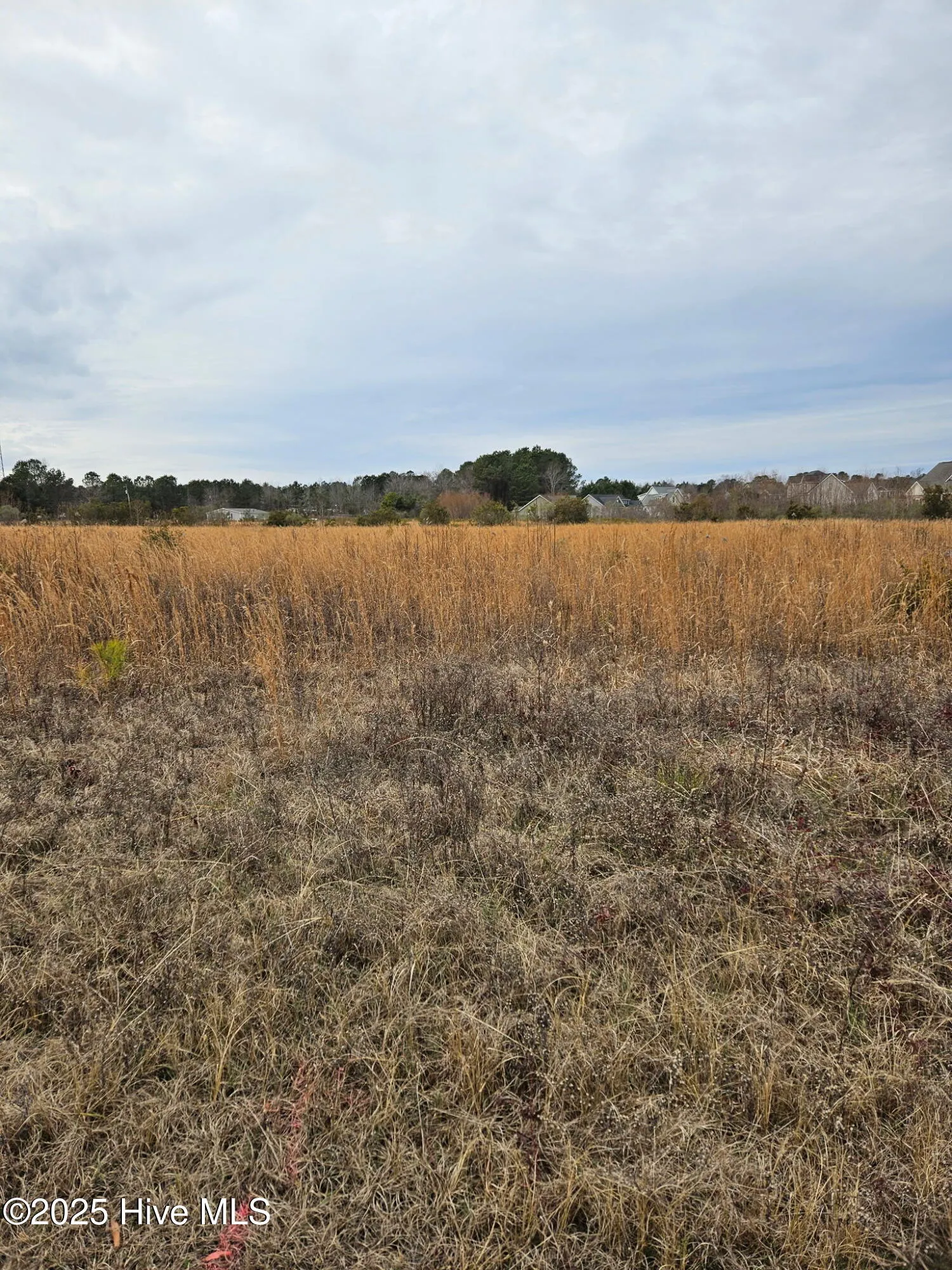 Rocky Point, North Carolina 28457, United States, ,Land,Pending,16138
