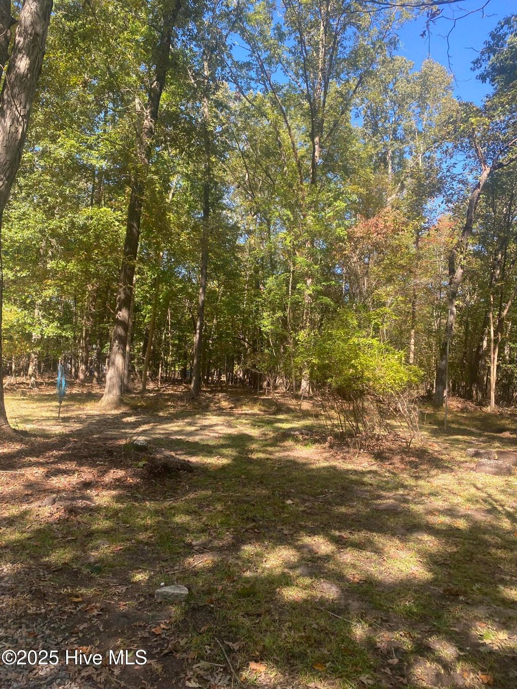 Photo of 416 Bay Drive, Washington, NC 27889 (MLS # 100537703)