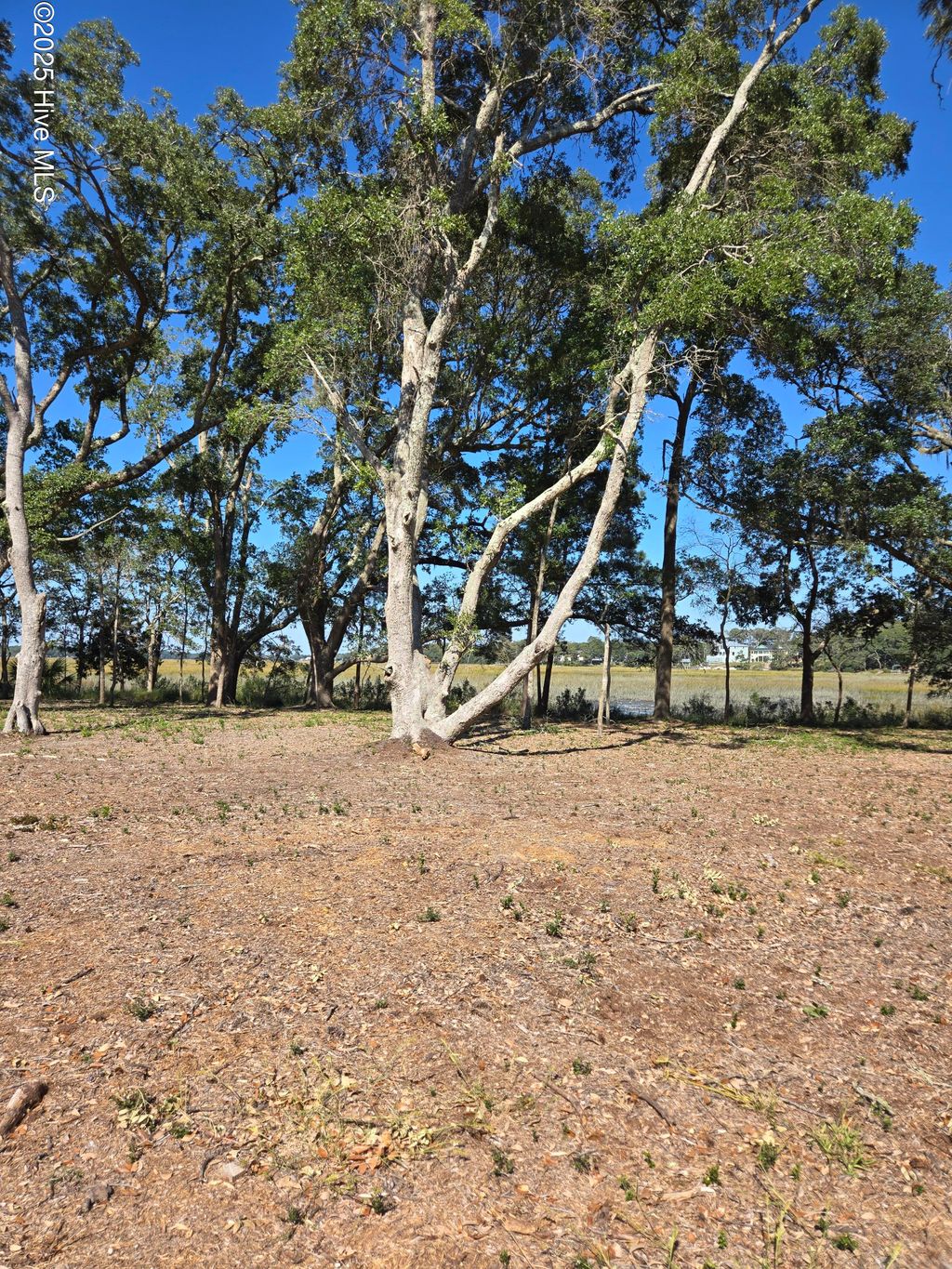 Photo of 3810 Windy Point Road SW, Supply, NC 28462 (MLS # 100536937)