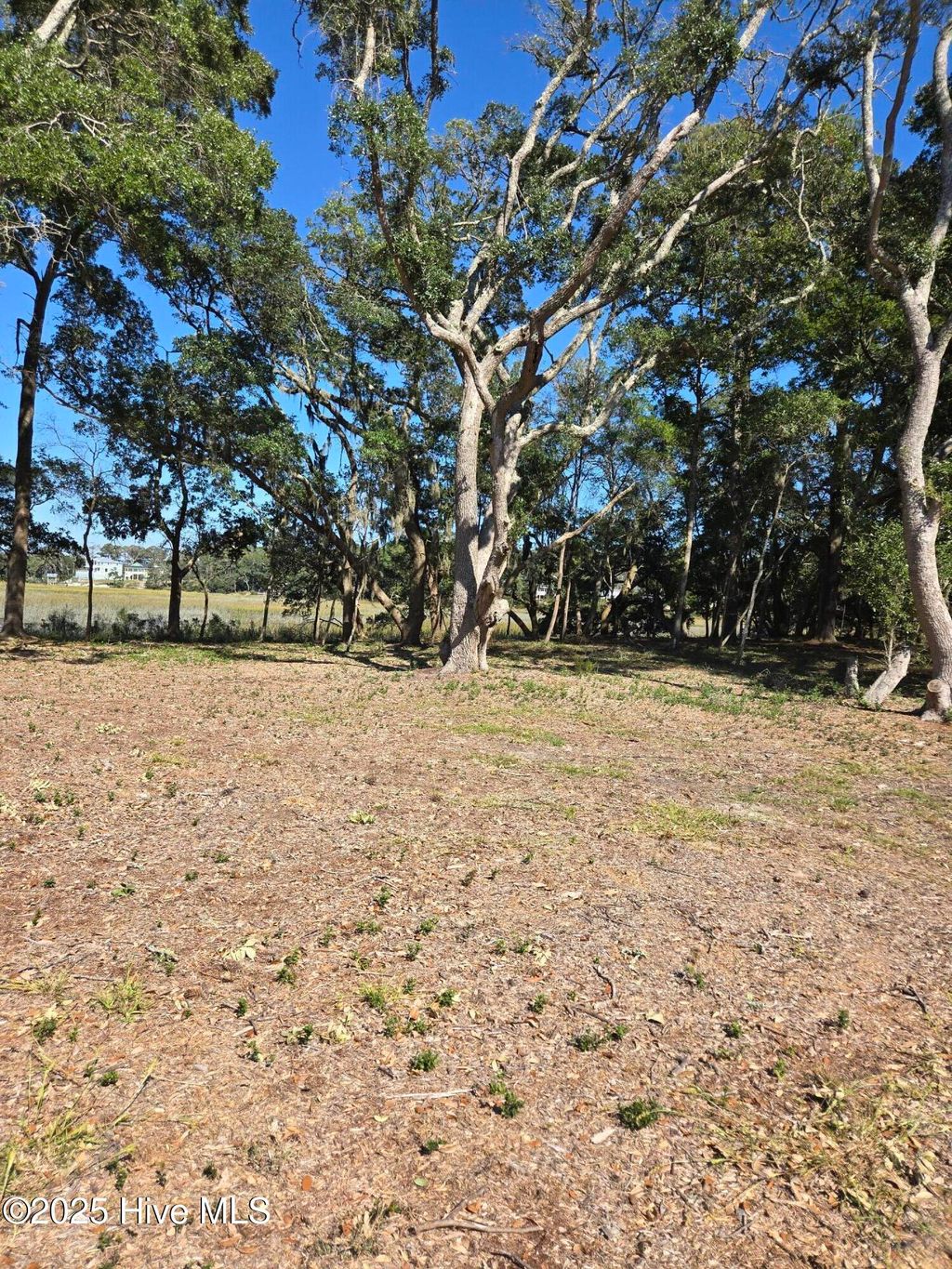 Photo of 3810 Windy Point Road SW, Supply, NC 28462 (MLS # 100536937)