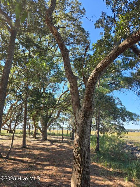 Tiny photo for 3810 Windy Point Road SW, Supply, NC 28462 (MLS # 100536937)
