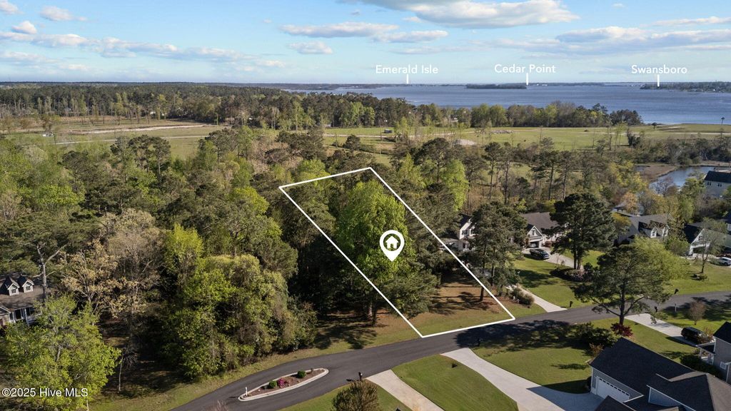 Photo of 125 White Heron Lane, Swansboro, NC 28584 (MLS # 100502066)