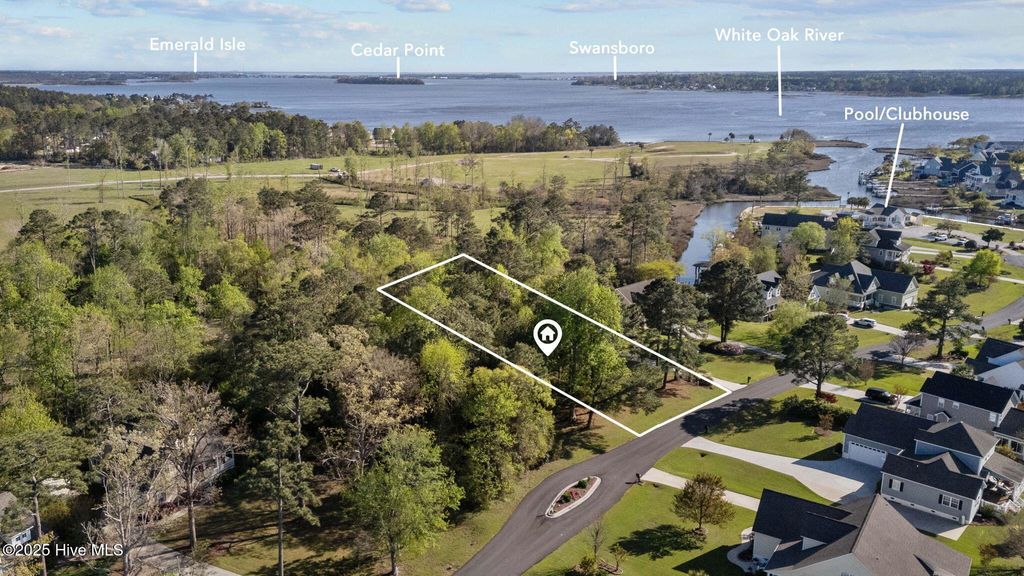 Photo of 125 White Heron Lane, Swansboro, NC 28584 (MLS # 100502066)