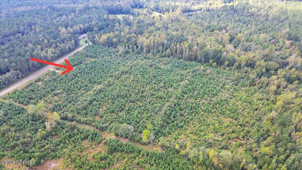 Photo of 260 Andermora Road, Maple Hill, NC 28454 (MLS # 100469322)