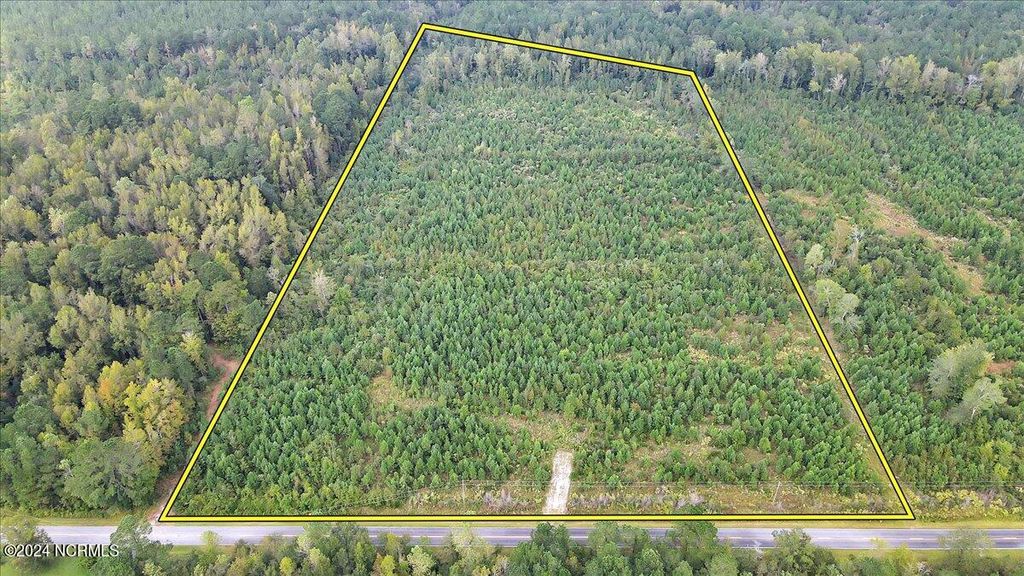 Photo of 260 Andermora Road, Maple Hill, NC 28454 (MLS # 100469322)