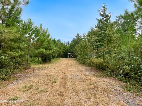 Tiny photo for 00 White Oak River Road, Maysville, NC 28555 (MLS # 100530010)