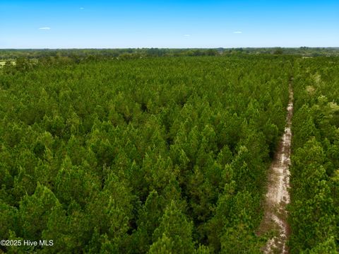 Tiny photo for 00 White Oak River Road, Maysville, NC 28555 (MLS # 100530010)