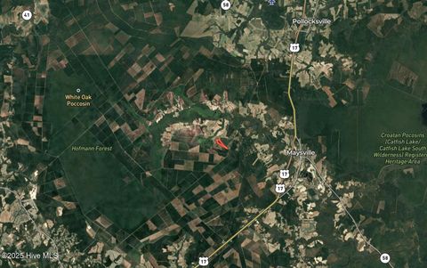 Tiny photo for 00 White Oak River Road, Maysville, NC 28555 (MLS # 100530010)