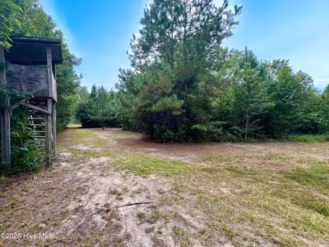 Tiny photo for 00 White Oak River Road, Maysville, NC 28555 (MLS # 100530010)