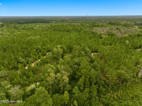 Tiny photo for 00 White Oak River Road, Maysville, NC 28555 (MLS # 100530010)