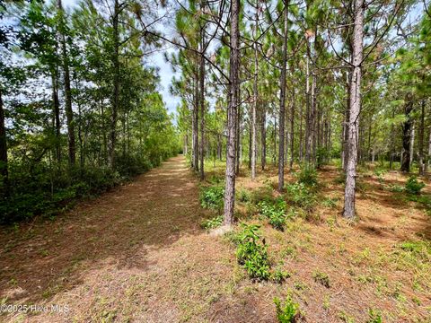 Tiny photo for 00 White Oak River Road, Maysville, NC 28555 (MLS # 100530010)