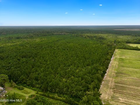 Tiny photo for 00 White Oak River Road, Maysville, NC 28555 (MLS # 100530010)