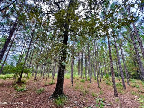 Tiny photo for 00 White Oak River Road, Maysville, NC 28555 (MLS # 100530010)