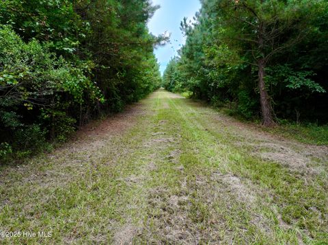 Tiny photo for 00 White Oak River Road, Maysville, NC 28555 (MLS # 100530010)