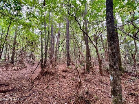 Tiny photo for 00 White Oak River Road, Maysville, NC 28555 (MLS # 100530010)
