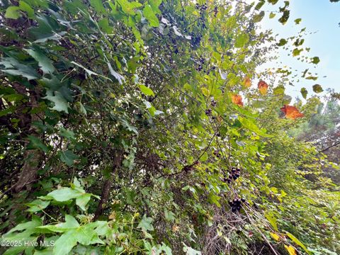 Tiny photo for 00 White Oak River Road, Maysville, NC 28555 (MLS # 100530010)