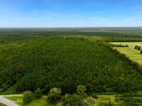 Tiny photo for 00 White Oak River Road, Maysville, NC 28555 (MLS # 100530010)