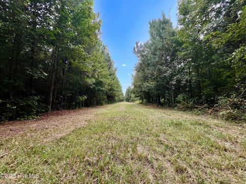 Tiny photo for 00 White Oak River Road, Maysville, NC 28555 (MLS # 100530010)