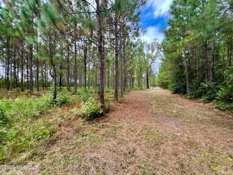 Tiny photo for 00 White Oak River Road, Maysville, NC 28555 (MLS # 100530010)