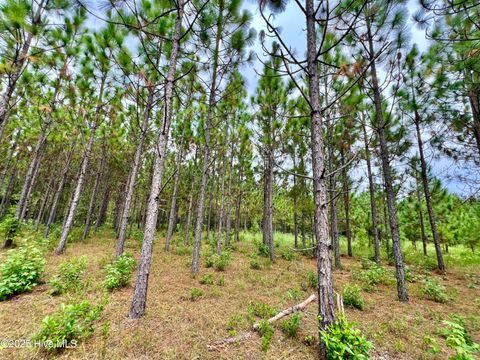 Tiny photo for 00 White Oak River Road, Maysville, NC 28555 (MLS # 100530010)