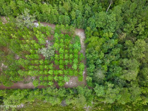 Tiny photo for 00 White Oak River Road, Maysville, NC 28555 (MLS # 100530010)