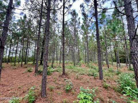 Tiny photo for 00 White Oak River Road, Maysville, NC 28555 (MLS # 100530010)