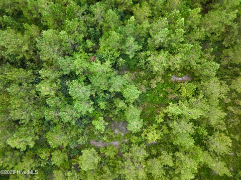 Tiny photo for 00 White Oak River Road, Maysville, NC 28555 (MLS # 100530010)