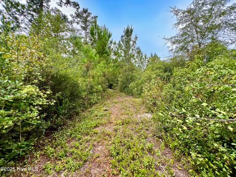 Tiny photo for 00 White Oak River Road, Maysville, NC 28555 (MLS # 100530010)