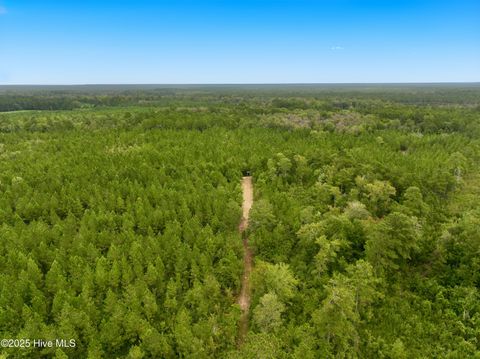 Tiny photo for 00 White Oak River Road, Maysville, NC 28555 (MLS # 100530010)