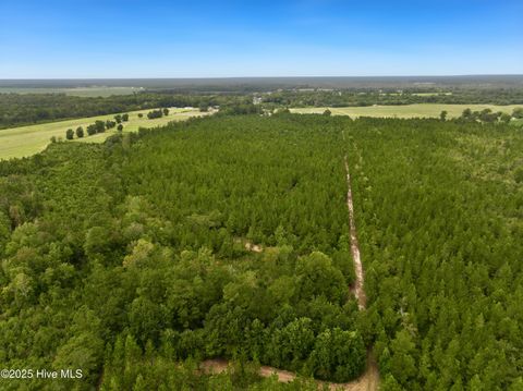 Tiny photo for 00 White Oak River Road, Maysville, NC 28555 (MLS # 100530010)