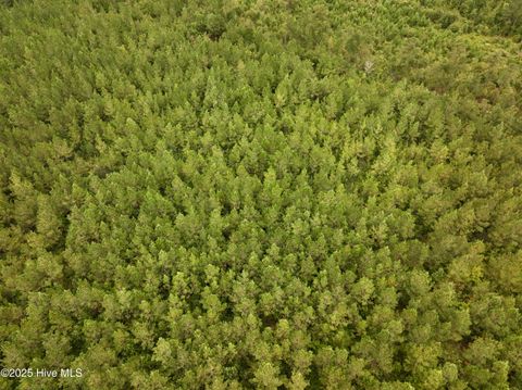 Tiny photo for 00 White Oak River Road, Maysville, NC 28555 (MLS # 100530010)