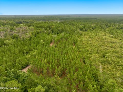 Tiny photo for 00 White Oak River Road, Maysville, NC 28555 (MLS # 100530010)