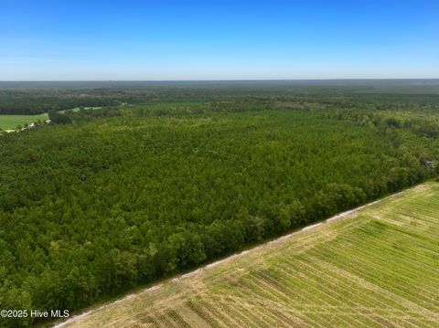 Tiny photo for 00 White Oak River Road, Maysville, NC 28555 (MLS # 100530010)