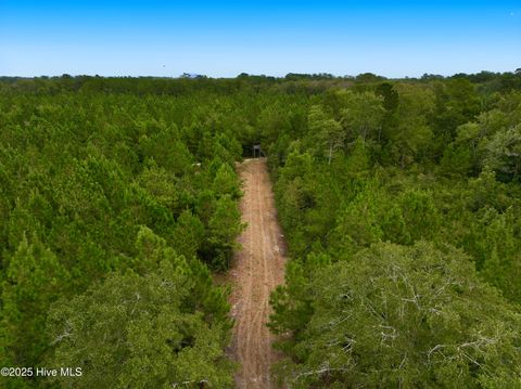 Tiny photo for 00 White Oak River Road, Maysville, NC 28555 (MLS # 100530010)