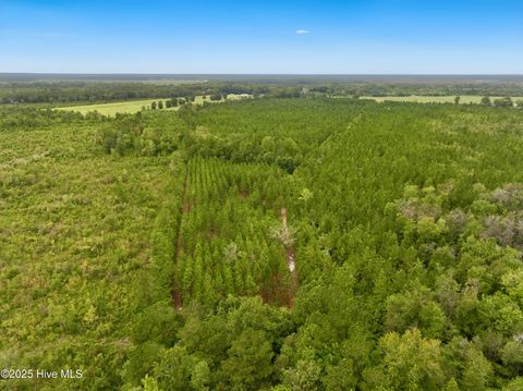 Tiny photo for 00 White Oak River Road, Maysville, NC 28555 (MLS # 100530010)