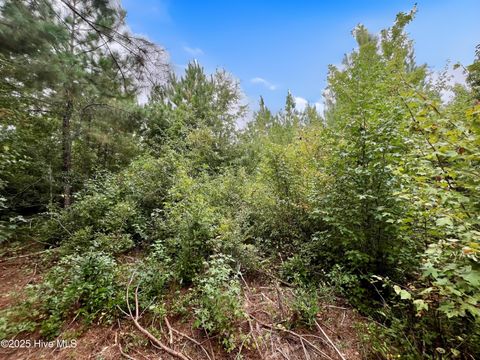 Tiny photo for 00 White Oak River Road, Maysville, NC 28555 (MLS # 100530010)