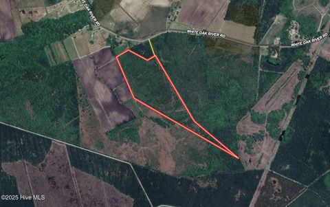 Tiny photo for 00 White Oak River Road, Maysville, NC 28555 (MLS # 100530010)