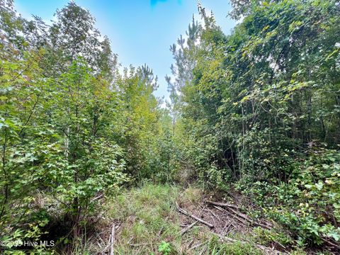 Tiny photo for 00 White Oak River Road, Maysville, NC 28555 (MLS # 100530010)