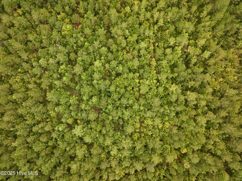 Tiny photo for 00 White Oak River Road, Maysville, NC 28555 (MLS # 100530010)