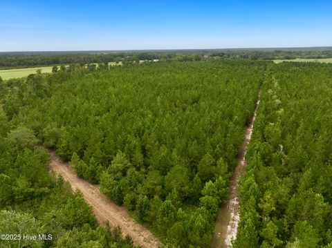 Tiny photo for 00 White Oak River Road, Maysville, NC 28555 (MLS # 100530010)