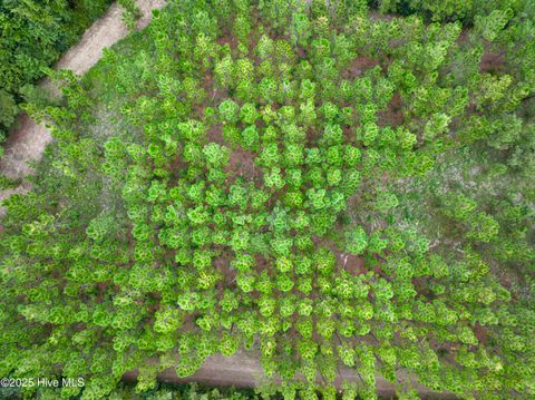 Tiny photo for 00 White Oak River Road, Maysville, NC 28555 (MLS # 100530010)