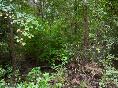 Tiny photo for 00 White Oak River Road, Maysville, NC 28555 (MLS # 100530010)