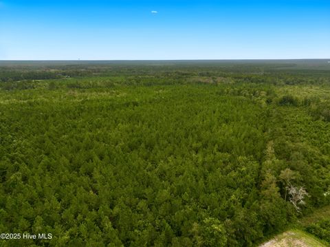 Tiny photo for 00 White Oak River Road, Maysville, NC 28555 (MLS # 100530010)