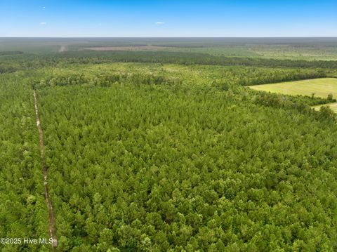 Tiny photo for 00 White Oak River Road, Maysville, NC 28555 (MLS # 100530010)