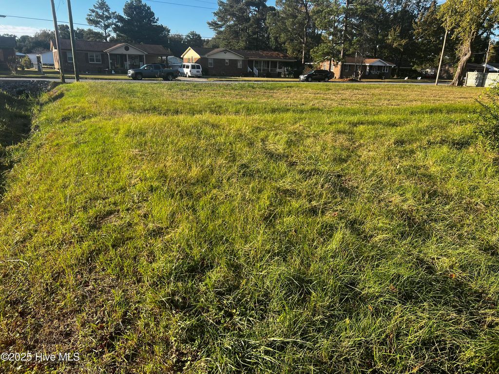 Photo of 1203 Van Norden Street, Washington, NC 27889 (MLS # 100537916)