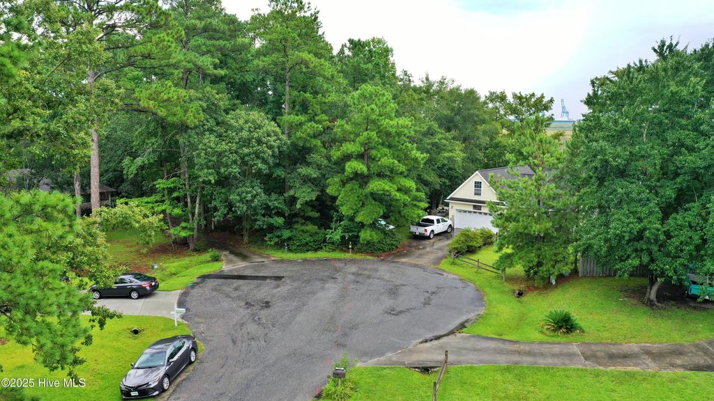 Photo of 9898 Black Bear Hollow Holw SE, Winnabow, NC 28479 (MLS # 100521403)