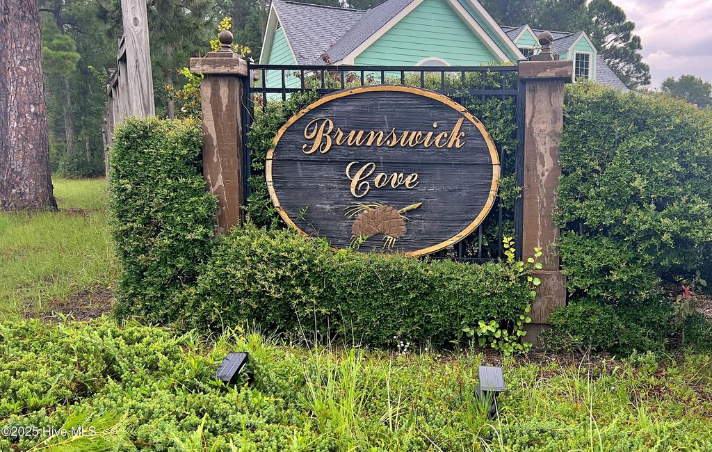 Photo of 9898 Black Bear Hollow Holw SE, Winnabow, NC 28479 (MLS # 100521403)