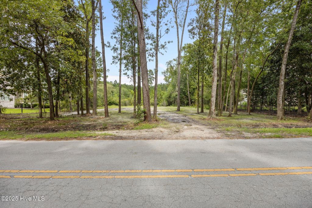 Photo of 157 Trent Shores Drive, New Bern, NC 28562 (MLS # 100526813)