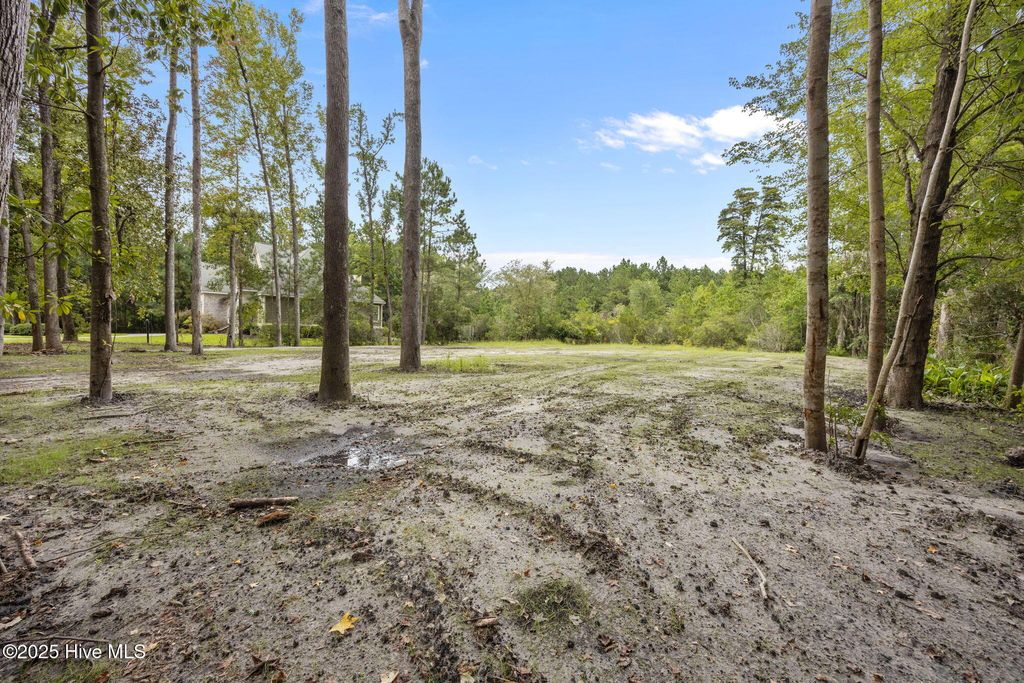 Photo of 157 Trent Shores Drive, New Bern, NC 28562 (MLS # 100526813)