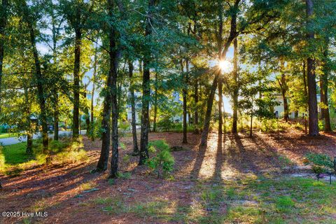 Tiny photo for 3623 White Cliffs Drive, Castle Hayne, NC 28429 (MLS # 100537011)